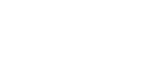 پاک نیٹ logo